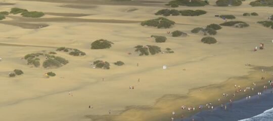 Hotel Santa Monica Suites