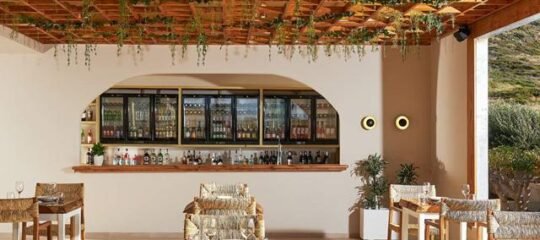 Hotel Vasia Sea Retreat - adults only