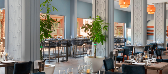 Pickalbatros Albatros Palace Resort - Winterzon