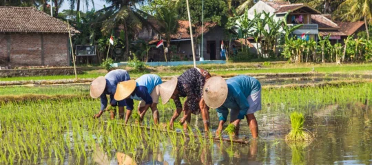 De verborgen schatten van Java en Bali