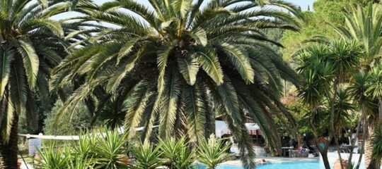 Appartementen Spiti Nikos