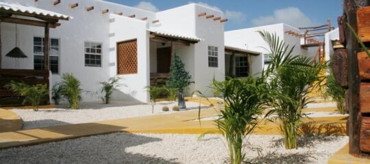 Bonaire Fun & Tropicana