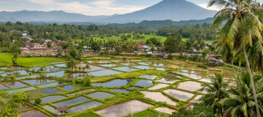 Fascinerend Indonesië