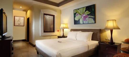 Hotel Puri Santrian & Spa