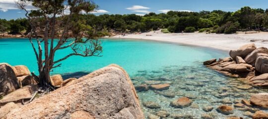 11 dg cruise West Middellandse Zee MSC Opera