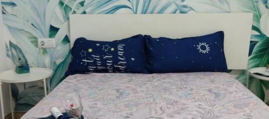 Suite by Flamingo House - Rookvrij