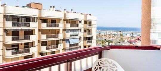 Sur Suites Palmeras 583