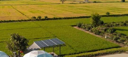 Serenity and Delight Glamping Dome