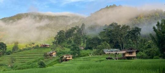 Pang Ma - O rice terrace นาขั้นบันไดบ้านปางมะโอ