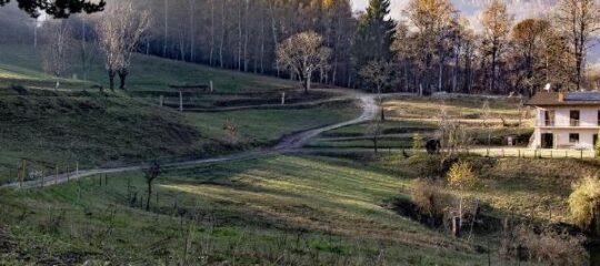 Agricamping La Meyra