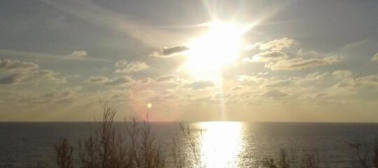 Foivos Seaside Apartments