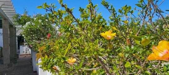 BLife Salinya private rooms at N125