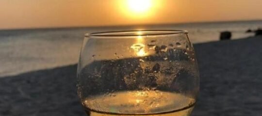 Aruba Harmony Best Place To be