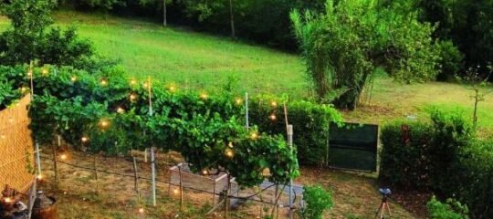 The SkyRoom - La Casa dei Nonni