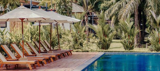 The Mangrove by Blu Monkey