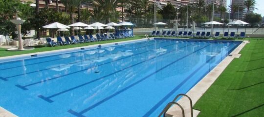 Albahia Alicante