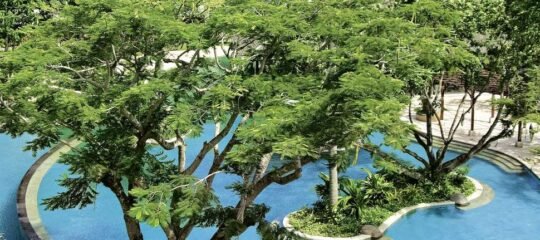 Novotel Bali Nusa Dua Hotel